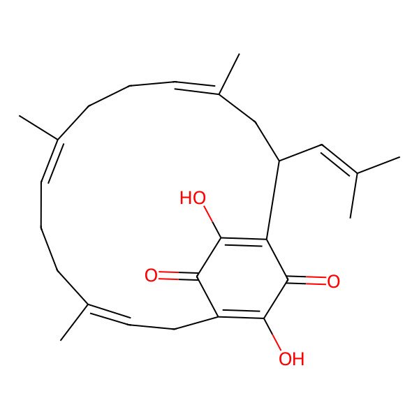 2D Structure of Rhizopogone