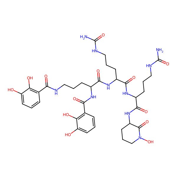 2D Structure of Rhodobactin