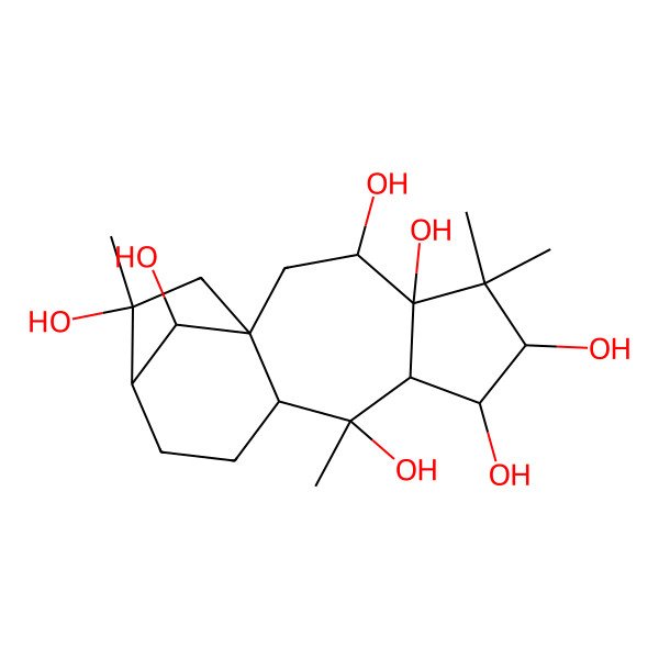 2D Structure of Rhodojaponin VI