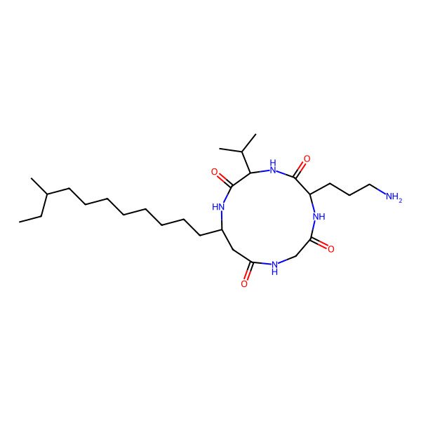 2D Structure of (3S,6S)-6-(3-aminopropyl)-3-isopropyl-13-(9-methylundecyl)-1,4,7,10-tetrazacyclotridecane-2,5,8,11-tetrone
