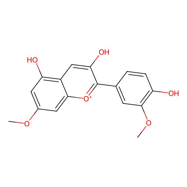 2D Structure of Rosinidin