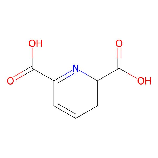 2D Structure of (2S)-2,3-dihydropyridine-2,6-dicarboxylic acid