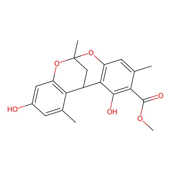 2D Structure of Sancti B