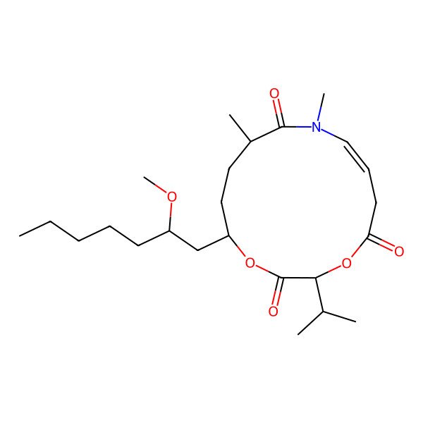 2D Structure of Sanctolide A