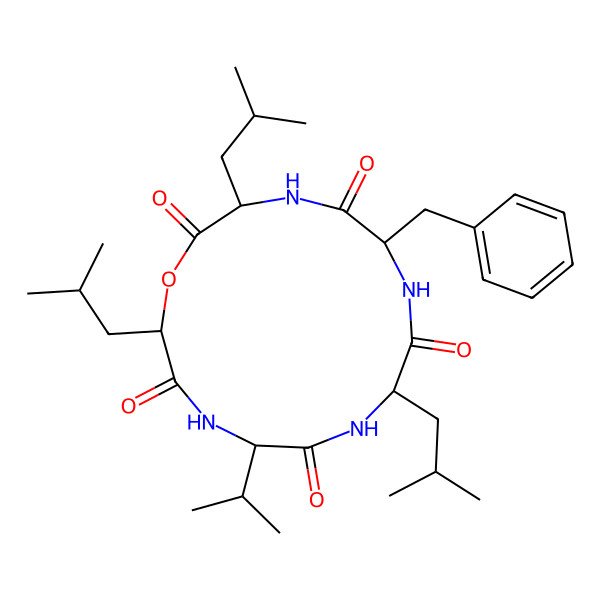 2D Structure of Sansalvamide