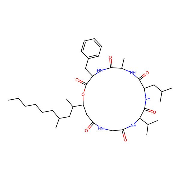 2D Structure of Scopularide C