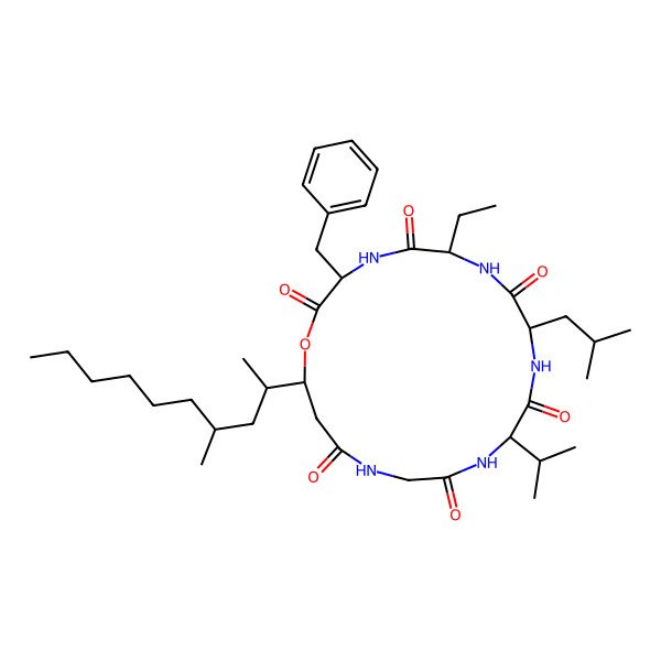 2D Structure of Scopularide F
