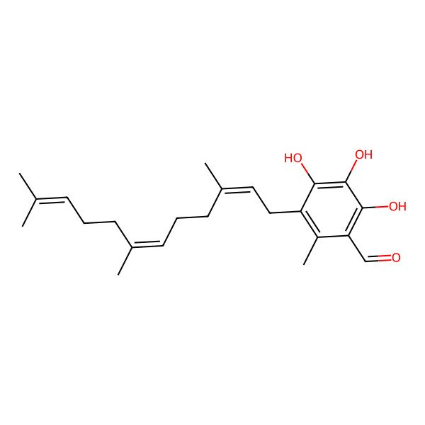 2D Structure of Scutigeral
