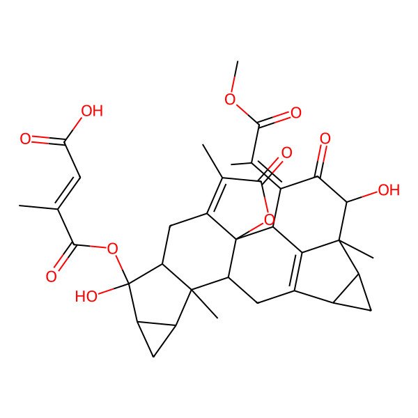 2D Structure of (E)-4-[[(1R,2S,8R,9R,10S,12R,13R,14S,17S,19R,20S,21R,23Z)-9,21-dihydroxy-23-(1-methoxy-1-oxopropan-2-ylidene)-5,13,20-trimethyl-4,22-dioxo-3-oxaoctacyclo[14.7.1.02,6.02,14.08,13.010,12.017,19.020,24]tetracosa-5,16(24)-dien-9-yl]oxy]-3-methyl-4-oxobut-2-enoic acid