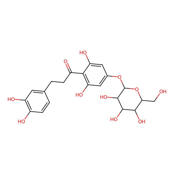 2D Structure of 3-(3,4-dihydroxyphenyl)-1-[2,6-dihydroxy-4-[(2S,3R,4S,5S,6R)-3,4,5-trihydroxy-6-(hydroxymethyl)oxan-2-yl]oxyphenyl]propan-1-one