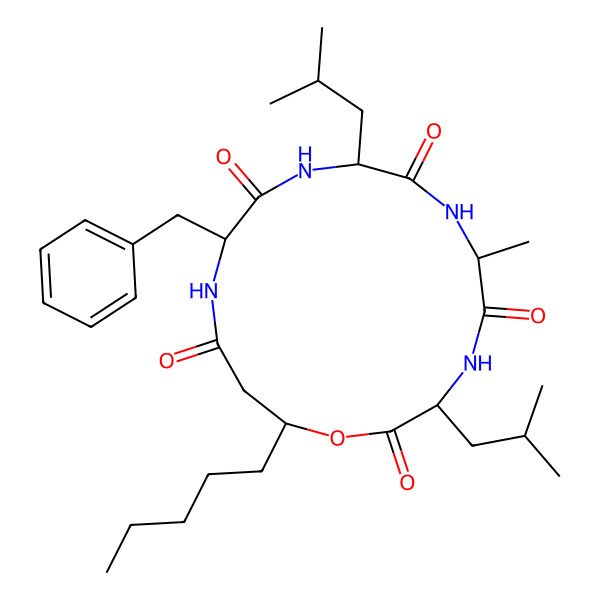 2D Structure of Solonamide B