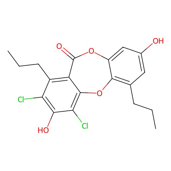 2D Structure of Spiromastixone E