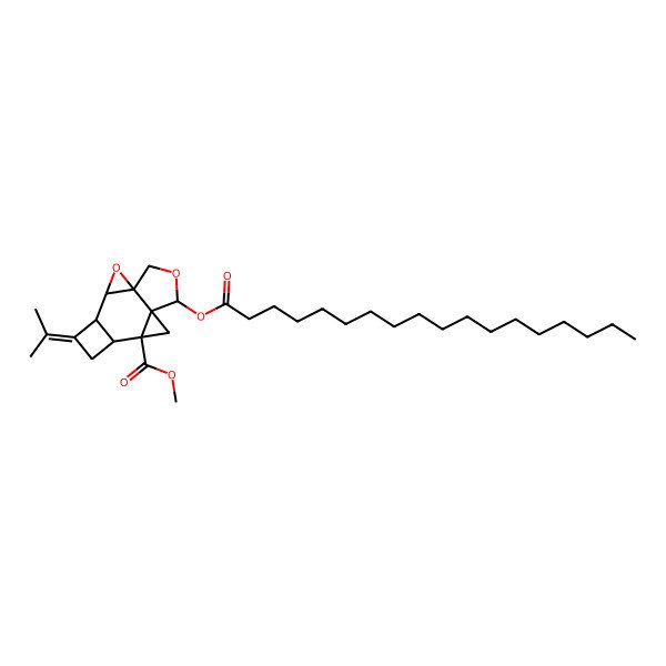 2D Structure of Stearyl-glutinopallal