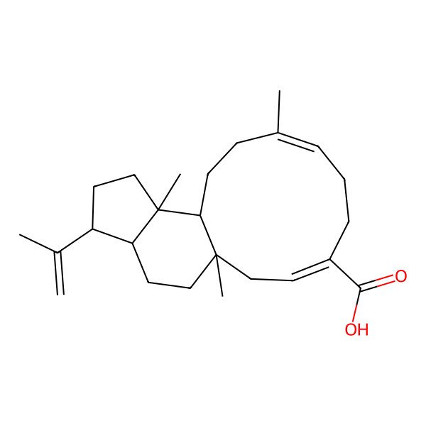 2D Structure of Stellatic acid