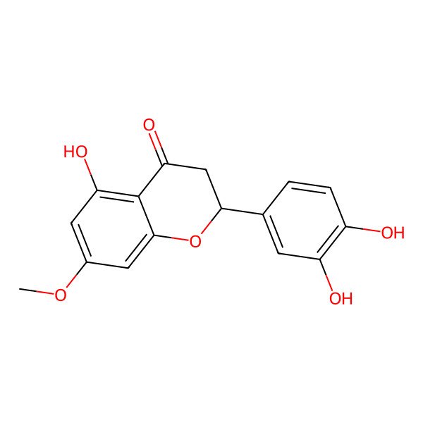 2D Structure of Sternbin