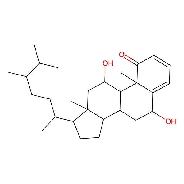 2D Structure of Stoloniferone E