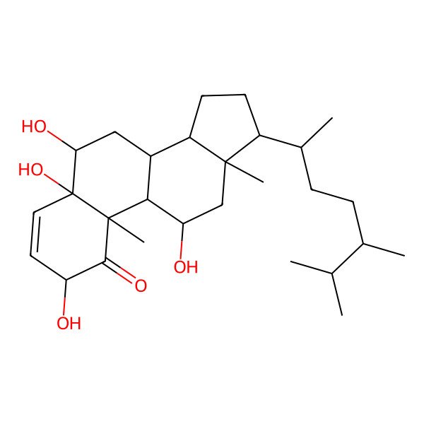 2D Structure of stoloniferone F