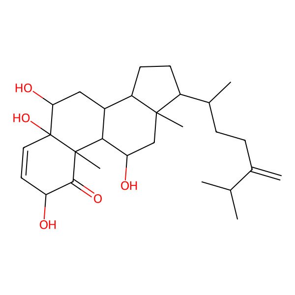 2D Structure of Stoloniferone G