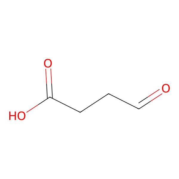 2D Structure of Succinic semialdehyde