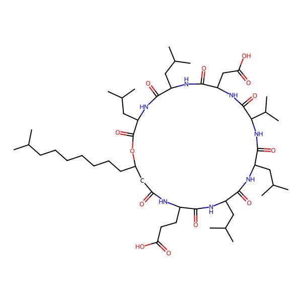 2D Structure of Surfactin A