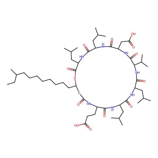 2D Structure of Surfactin C2