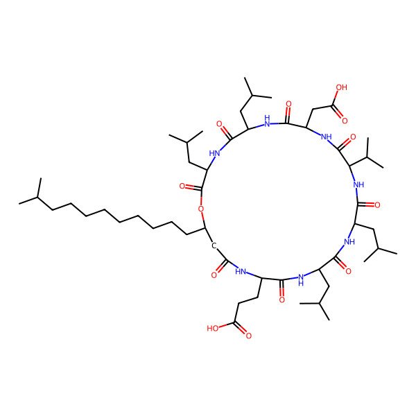 2D Structure of Surfactin