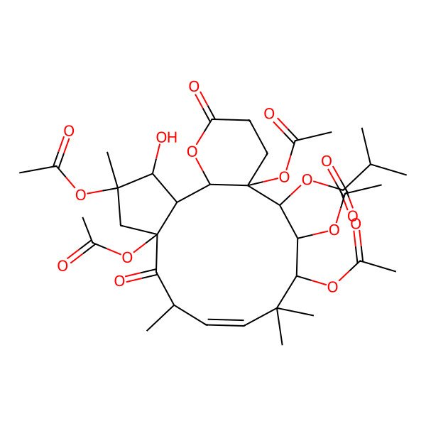 2D Structure of Terracinolide C