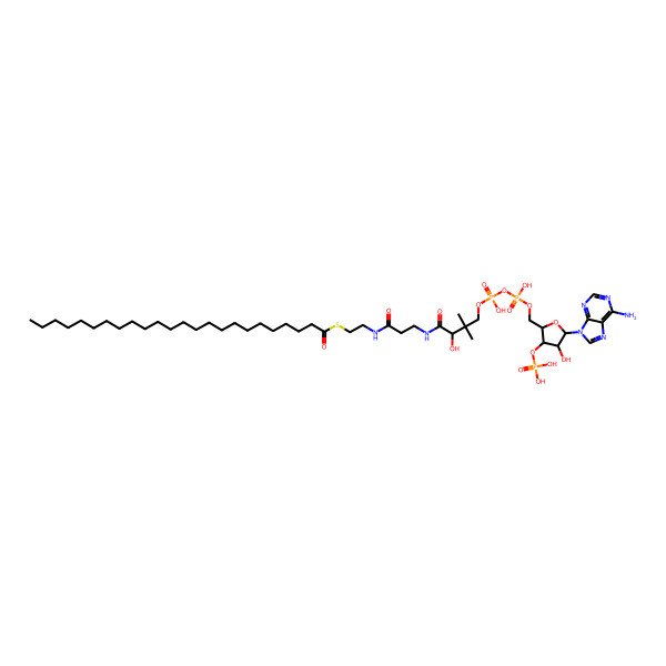 2D Structure of Tetracosanoyl-CoA