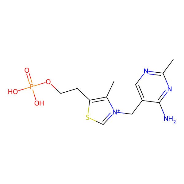 2D Structure of 3-[(4-Amino-2-methyl-5-pyrimidinyl)methyl]-4-methyl-5-[2-(phosphonooxy)ethyl]thiazolium
