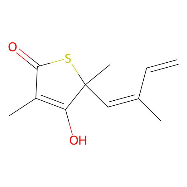 2D Structure of Thiolactomycin