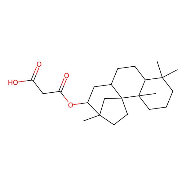 2D Structure of Thyrsiflorin A