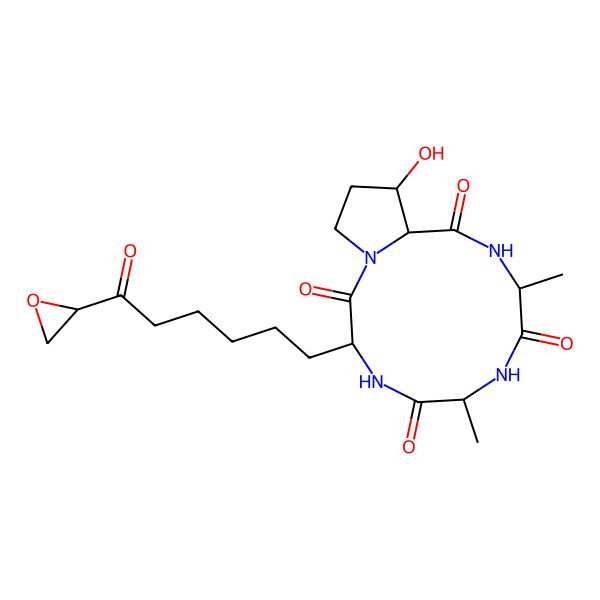 2D Structure of Toxin III (Helminthosporium carbonum)