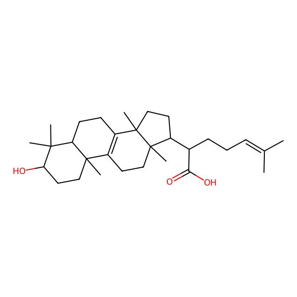 2D Structure of Trametenolic acid