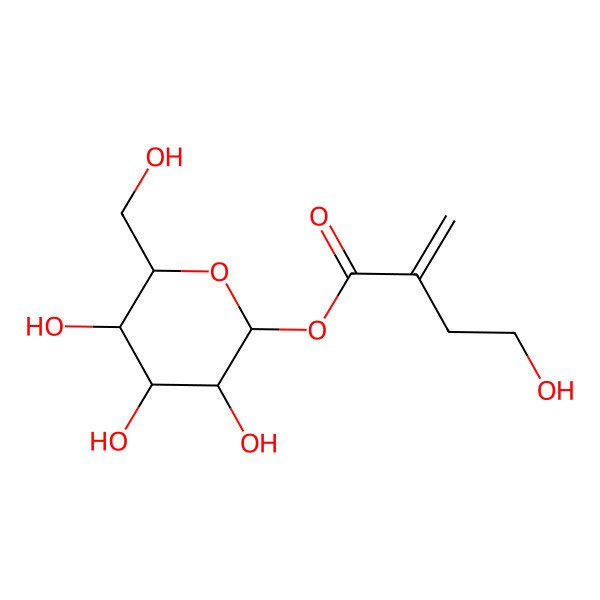 2D Structure of beta-D-Glucopyranose, 1-(4-hydroxy-2-methylenebutanoate)