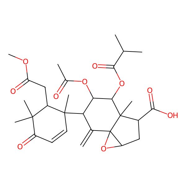 2D Structure of Turrapubesic Acid B