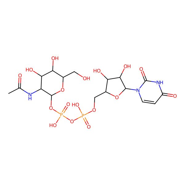 2D Structure of [(3R,4R,5R,6R)-3-acetamido-4,5-dihydroxy-6-(hydroxymethyl)oxan-2-yl] [[(2R,3S,4R,5R)-5-(2,4-dioxopyrimidin-1-yl)-3,4-dihydroxyoxolan-2-yl]methoxy-hydroxyphosphoryl] hydrogen phosphate