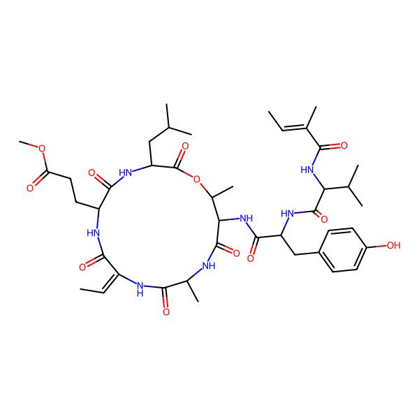 2D Structure of Methyl 3-[9-ethylidene-15-[[3-(4-hydroxyphenyl)-2-[[3-methyl-2-(2-methylbut-2-enoylamino)butanoyl]amino]propanoyl]amino]-12,16-dimethyl-3-(2-methylpropyl)-2,5,8,11,14-pentaoxo-1-oxa-4,7,10,13-tetrazacyclohexadec-6-yl]propanoate