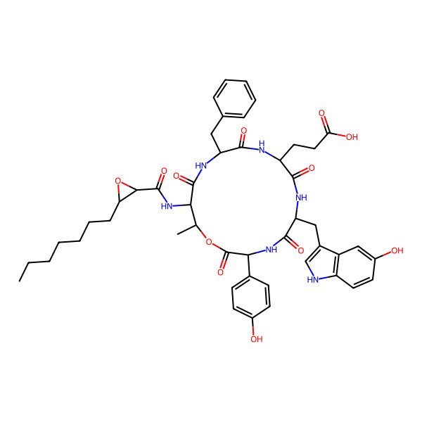2D Structure of 3-[12-benzyl-15-[(3-heptyloxirane-2-carbonyl)amino]-6-[(5-hydroxy-1H-indol-3-yl)methyl]-3-(4-hydroxyphenyl)-16-methyl-2,5,8,11,14-pentaoxo-1-oxa-4,7,10,13-tetrazacyclohexadec-9-yl]propanoic acid