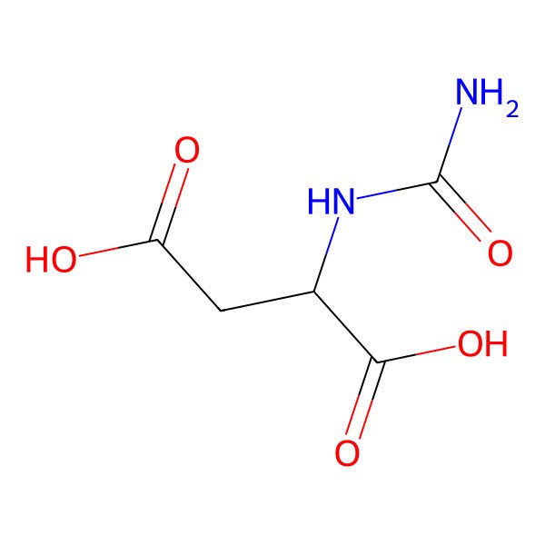 2D Structure of Ureidosuccinic acid