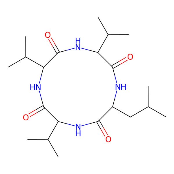 2D Structure of Xenotetrapeptide