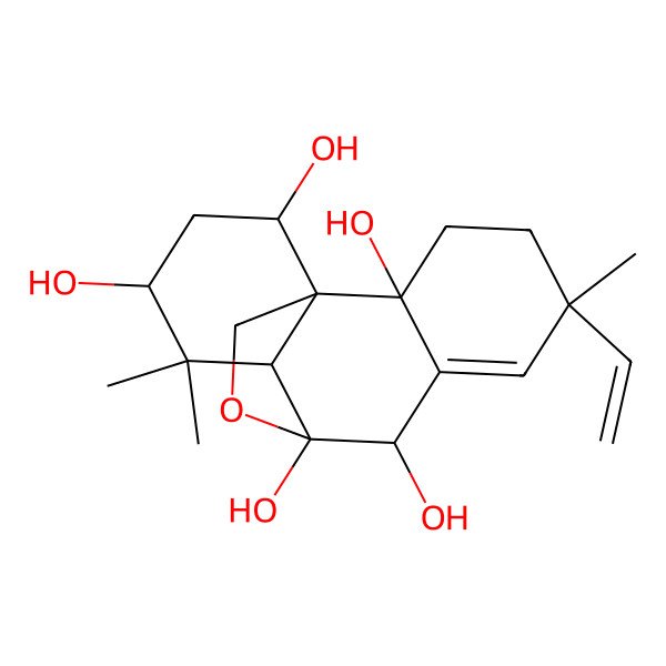 2D Structure of Xylallantin A