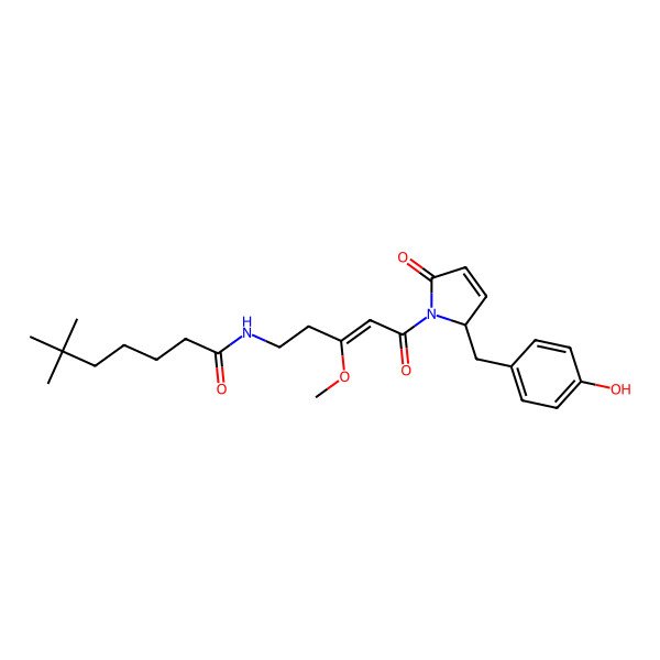 2D Structure of Ypaoamide A