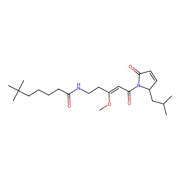 2D Structure of Ypaoamide B