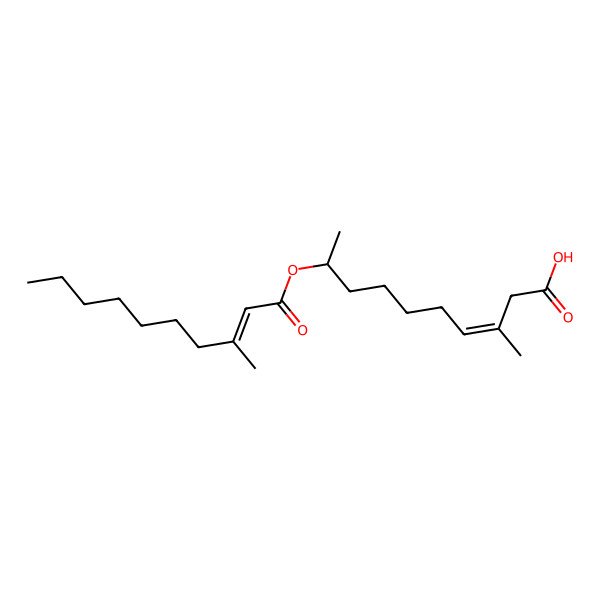 2D Structure of (Z,9R)-3-methyl-9-[(Z)-3-methyldec-2-enoyl]oxydec-3-enoic acid